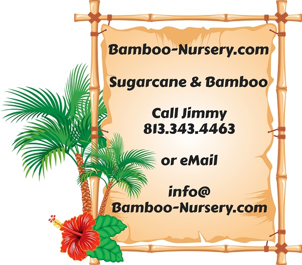 602x529 bamboo-1586325_1280 non transparent 2 logo