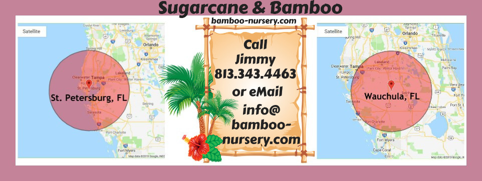 Sugarcane & Bamboo-Nursery Dot Com Counties Cities We Serve Florida border